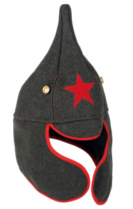 Буденовка серая